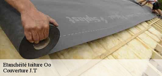 Etanchéité toiture  oo-31110 Couverture J.T