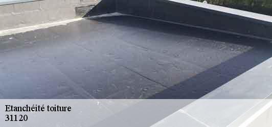 Etanchéité toiture  roques-31120 Couverture J.T