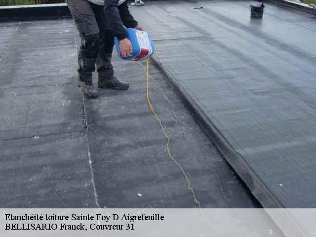 Etanchéité toiture  sainte-foy-d-aigrefeuille-31570 BELLISARIO Franck, Couvreur 31