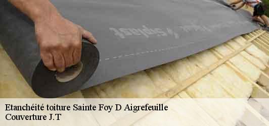 Etanchéité toiture  sainte-foy-d-aigrefeuille-31570 Couverture J.T