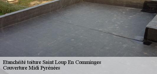 Etanchéité toiture  saint-loup-en-comminges-31350 Couverture Midi Pyrénées