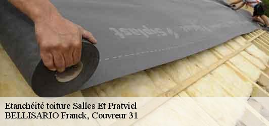 Etanchéité toiture  salles-et-pratviel-31110 BELLISARIO Franck, Couvreur 31