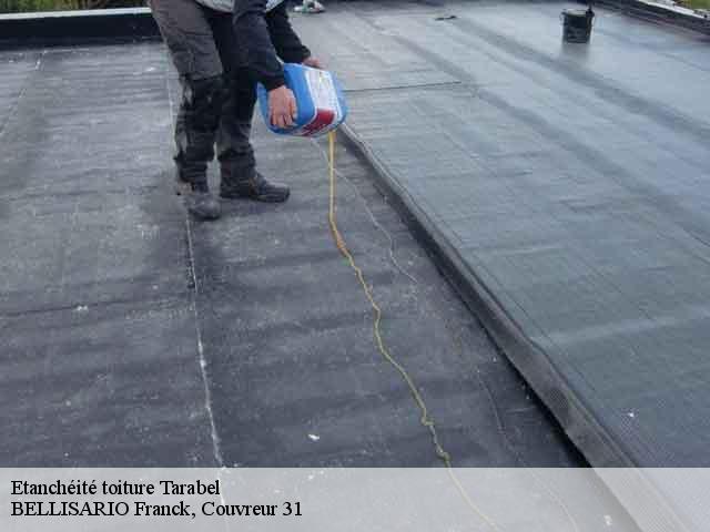 Etanchéité toiture  tarabel-31570 BELLISARIO Franck, Couvreur 31