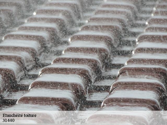 Etanchéité toiture  binos-31440 Couverture Midi Pyrénées