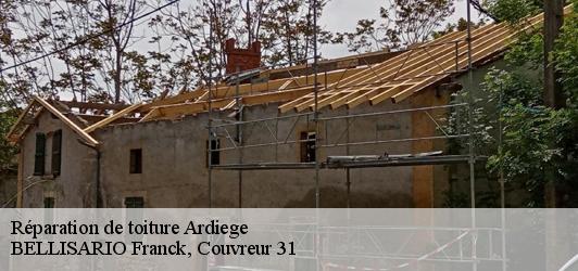 Réparation de toiture  ardiege-31210 BELLISARIO Franck, Couvreur 31