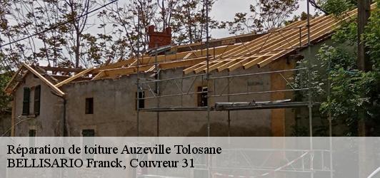 Réparation de toiture  auzeville-tolosane-31320 BELLISARIO Franck, Couvreur 31