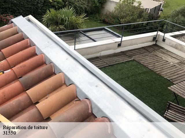 Réparation de toiture  cintegabelle-31550 BELLISARIO Franck, Couvreur 31