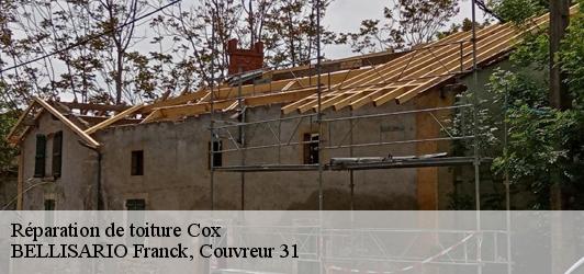 Réparation de toiture  cox-31480 BELLISARIO Franck, Couvreur 31