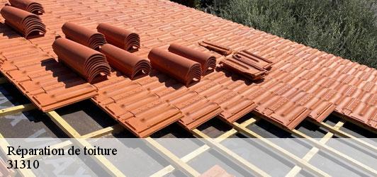 Réparation de toiture  goutevernisse-31310 Couverture J.T