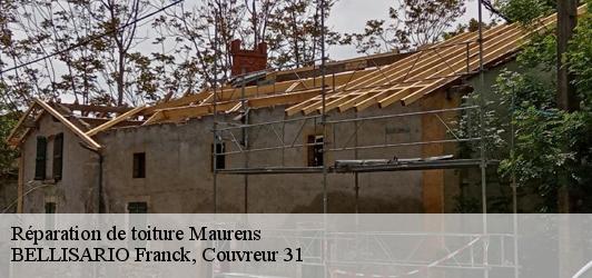 Réparation de toiture  maurens-31540 BELLISARIO Franck, Couvreur 31