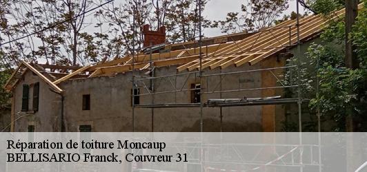Réparation de toiture  moncaup-31160 BELLISARIO Franck, Couvreur 31