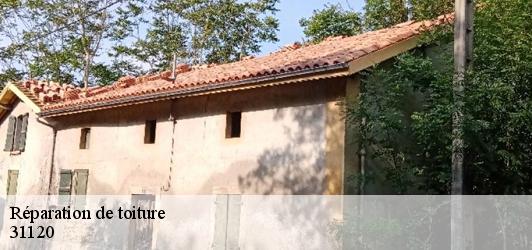 Réparation de toiture  pinsaguel-31120 Couverture Midi Pyrénées