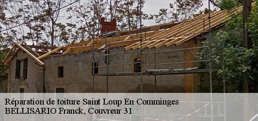 Réparation de toiture  saint-loup-en-comminges-31350 BELLISARIO Franck, Couvreur 31