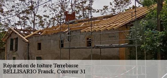 Réparation de toiture  terrebasse-31420 BELLISARIO Franck, Couvreur 31